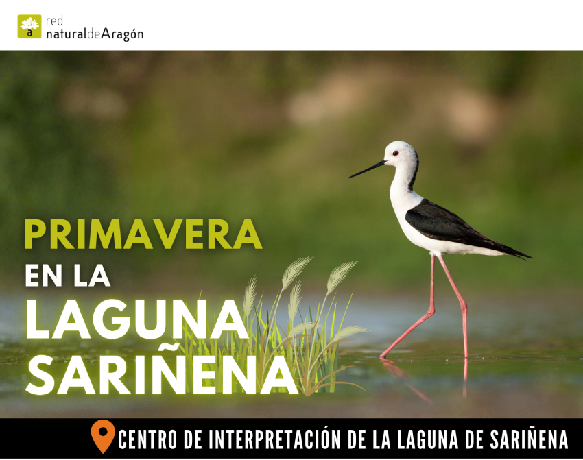 Visitas interpretativas por el entorno de la Laguna 