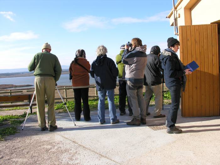 Horarios de visita puente de diciembre 2025