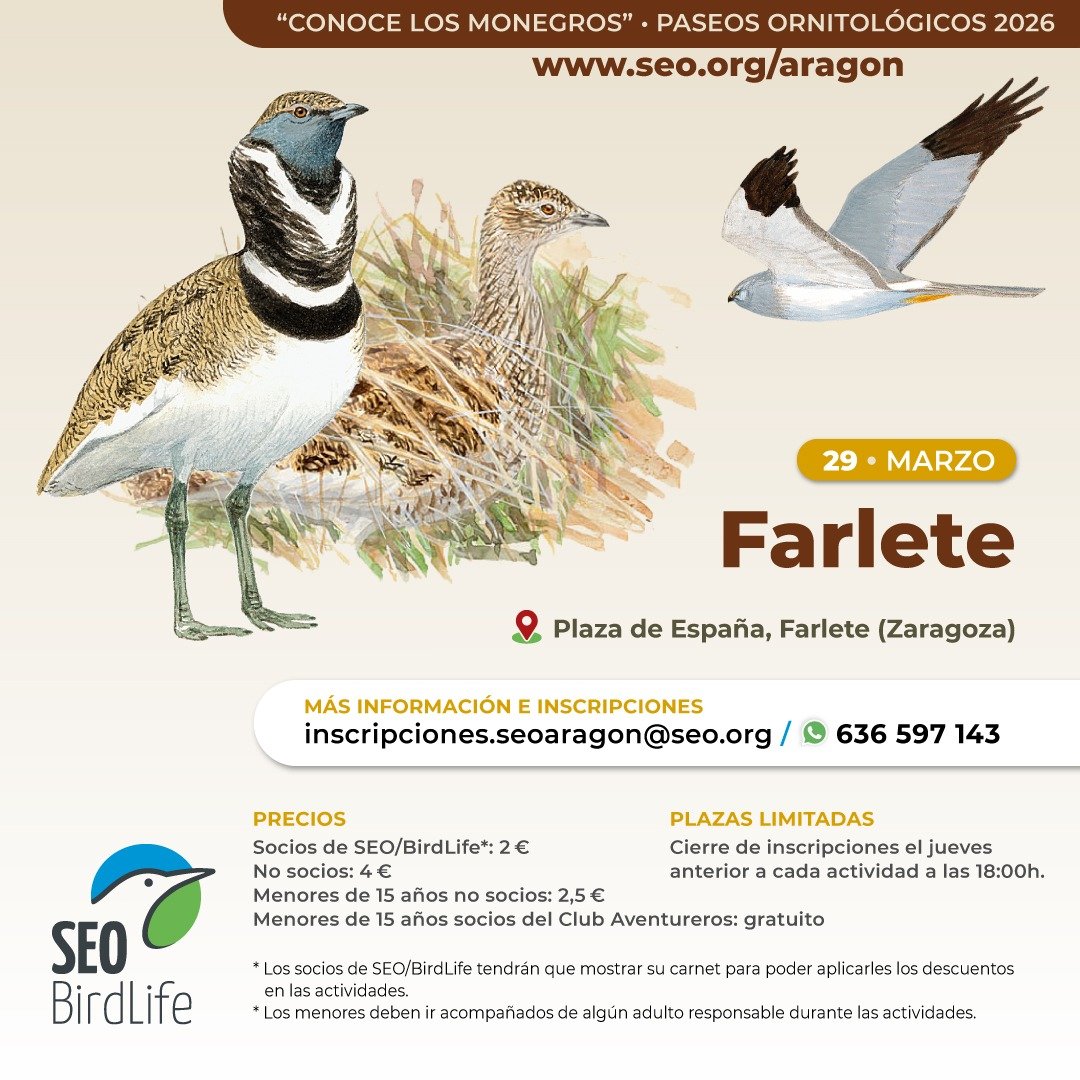 Paseo ornitológico "Conoce Los Monegros"