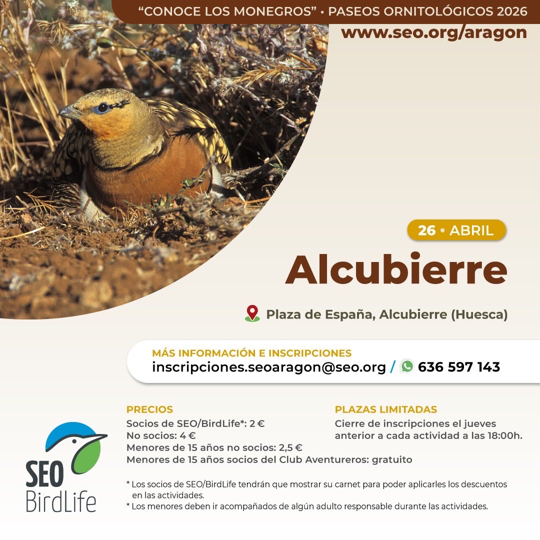 Itinerario ornitológico