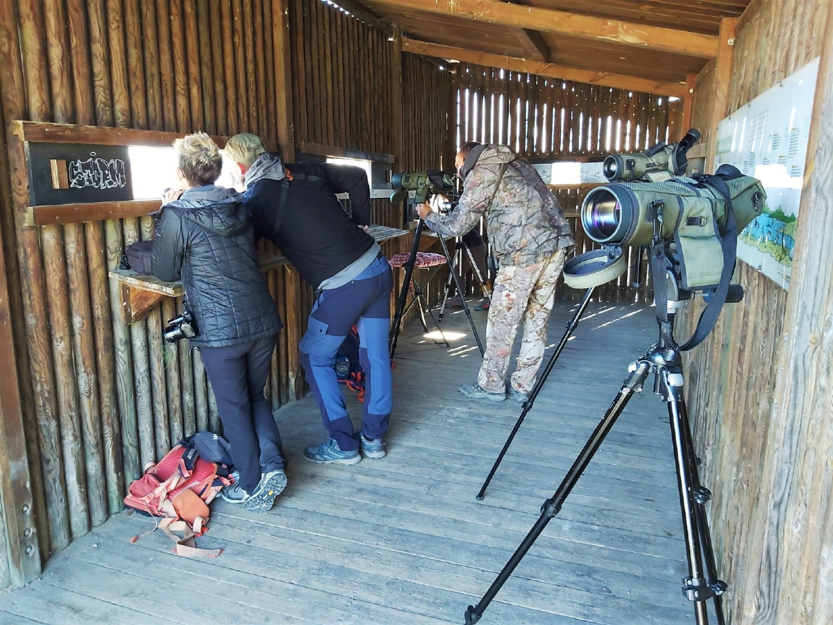 Día Mundial de los Humedales 2026